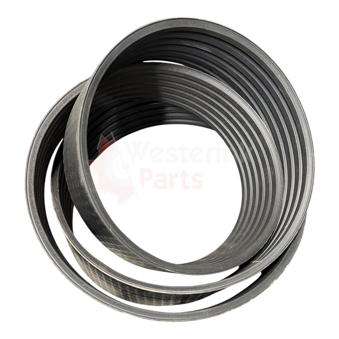 Powerband Kk 6-ribs 196mm Vanaf 04097> | Westerink Parts 131803