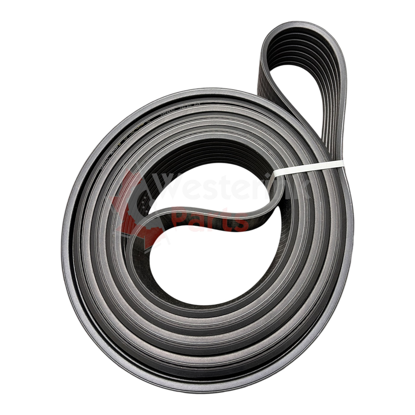 Powerband 950/960 494 7-ribs | Westerink Parts 131997