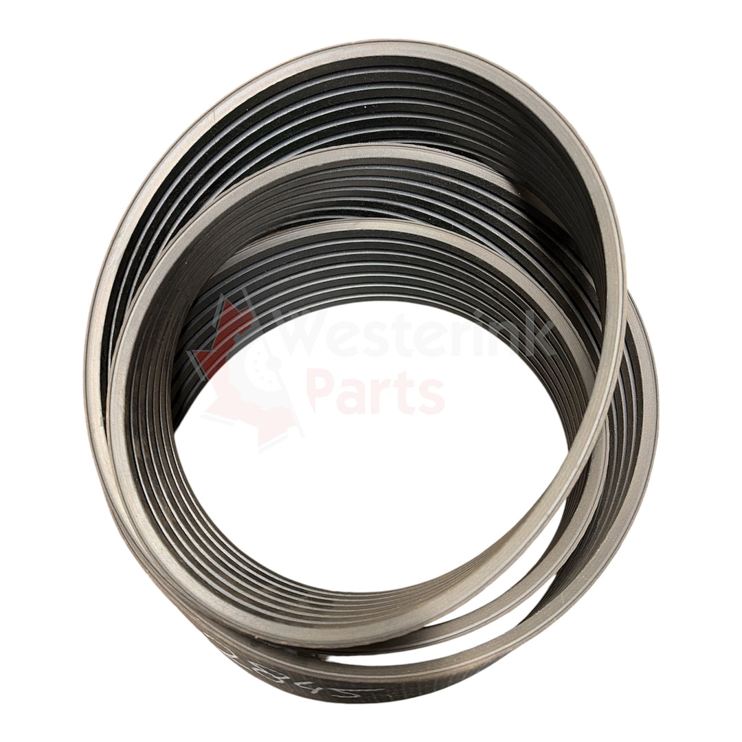 Powerband Kk 7-ribs Shredlage 494 | Westerink Parts 142845