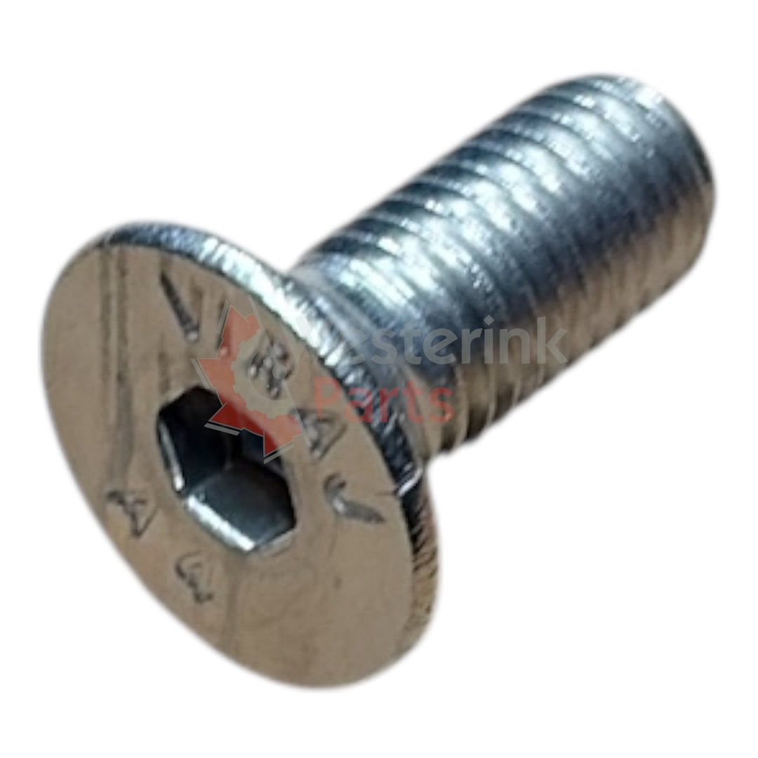 Inbusbout M10x25 Vz Rvs | Westerink Parts 212118