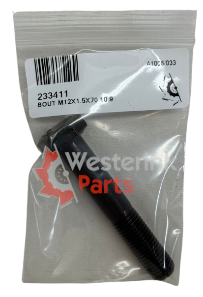 BOUT M12X1.5X70 10.9