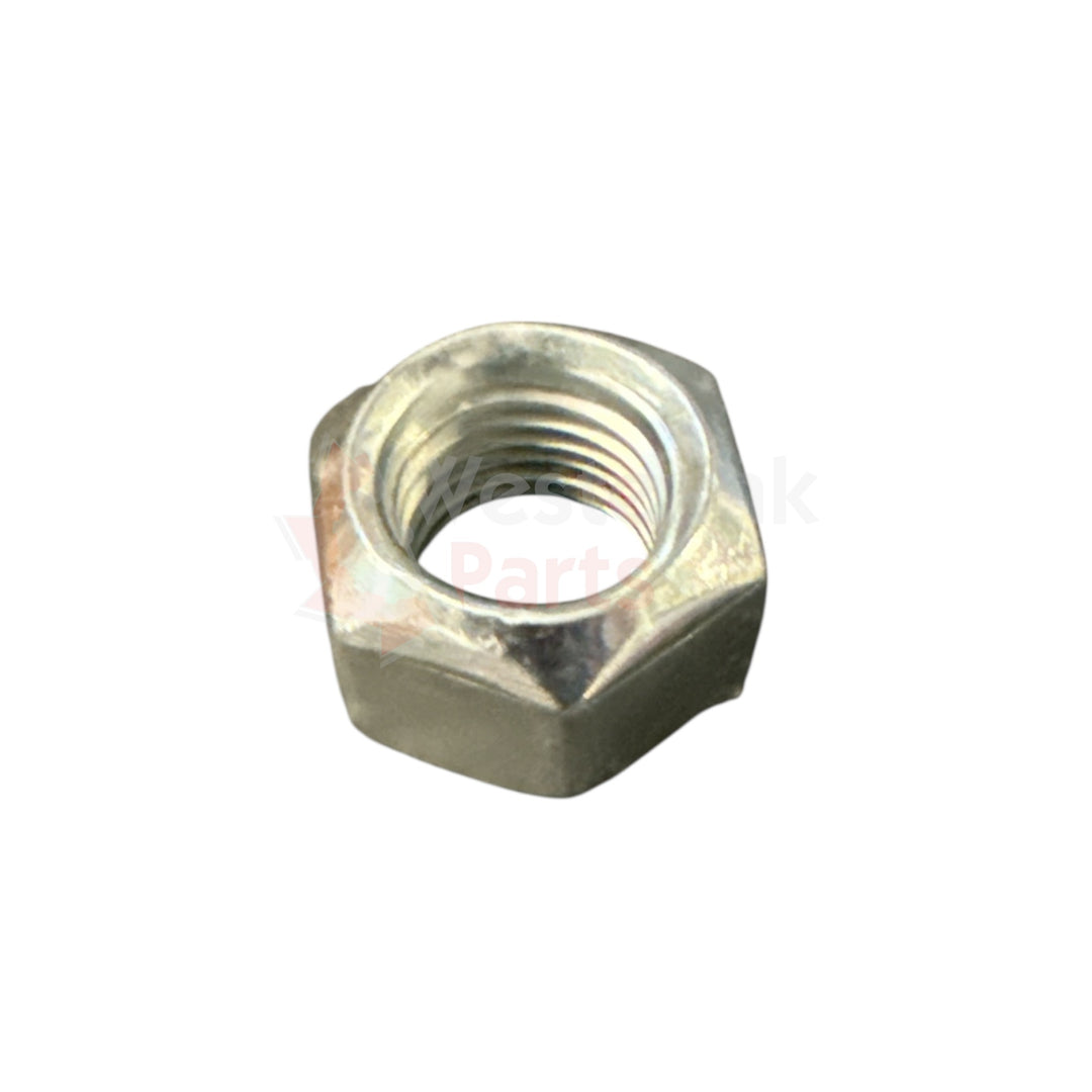BORGMOER M20 | Westerink Parts 233551