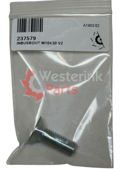 Inbusbout M10x30 Vz 2 | Westerink Parts 237579