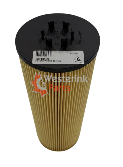 Filter Cardridge Olie | Westerink Parts 36013829