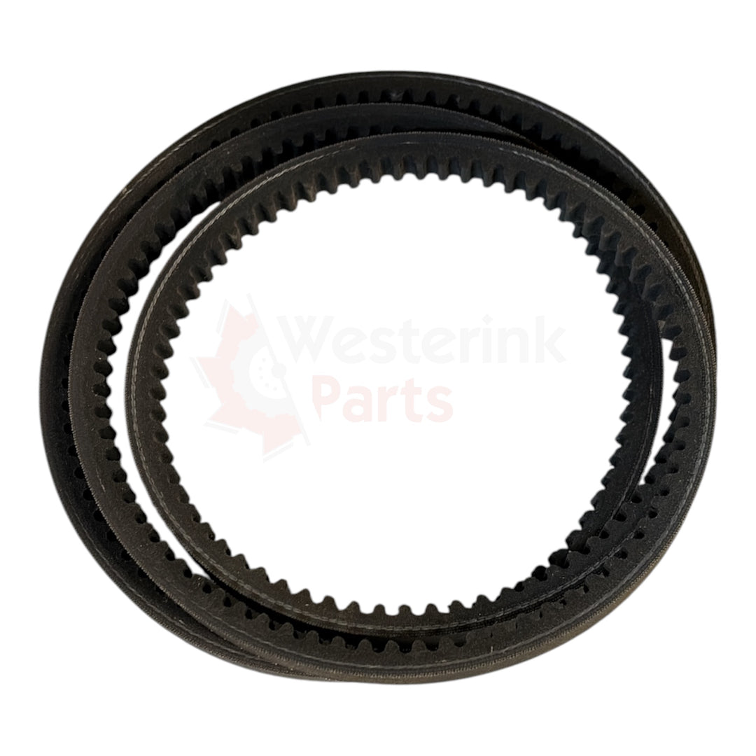 V-snaar Dynamo 491 | Westerink Parts 512087