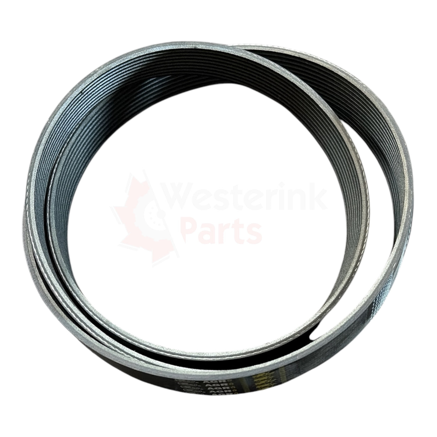 V-snaar Motor OM457 | Westerink Parts 67290