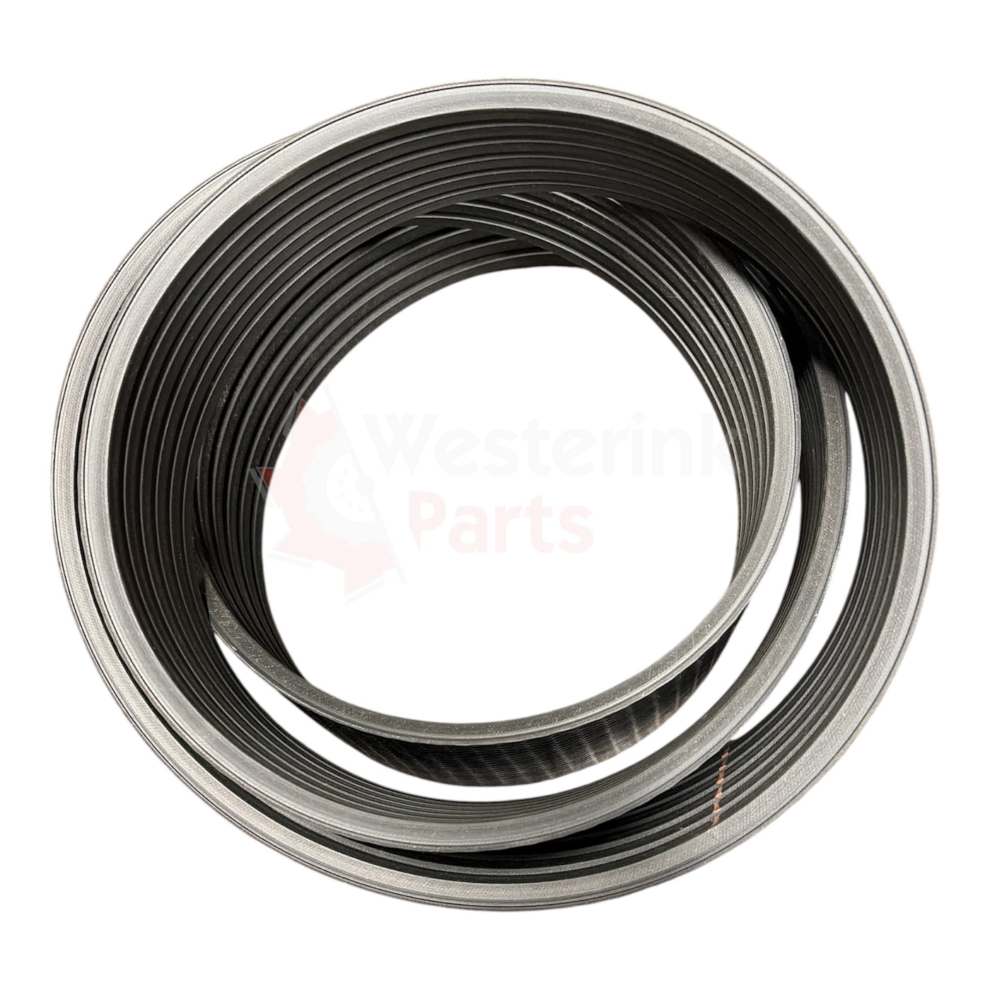 Powerband Kk 6-ribs 196mm Tot S/n 02913 | Westerink Parts 90255